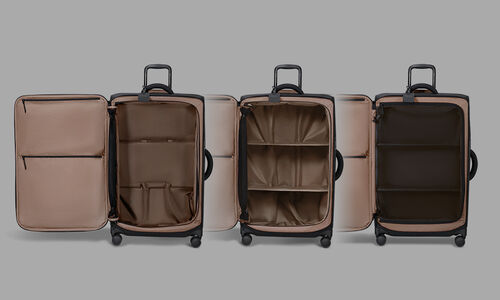 Sisus